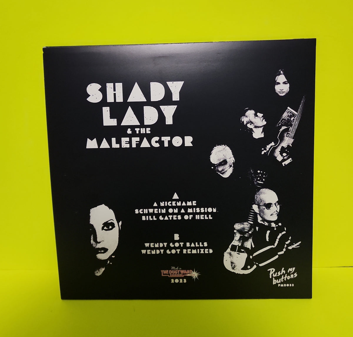 Shady Lady & the Malefactor - A Nickname (Rare Sweden Punk) - 2023 - PMB033 New - NM - Vinyl