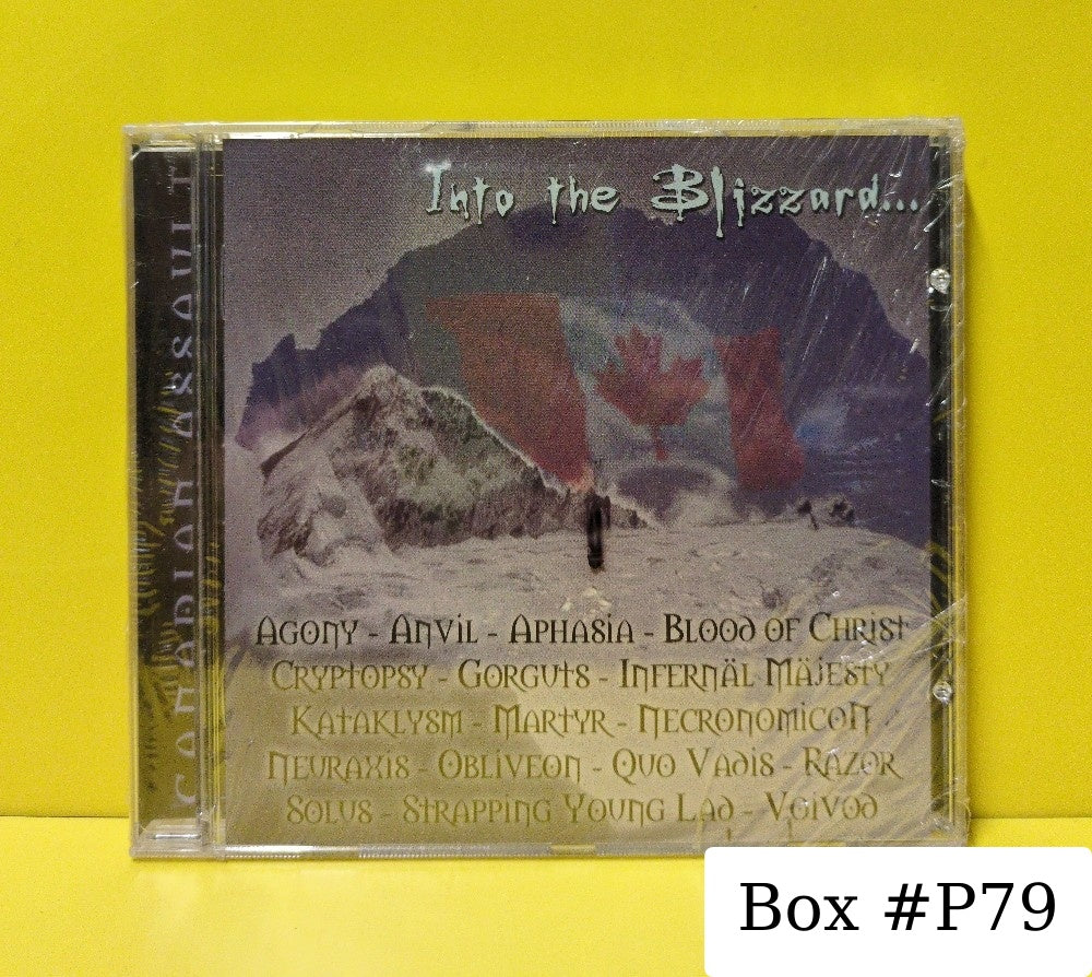 Various - Into The Blizzard... - 2001 - SM001 - New - Sealed - CDs - Canada Import