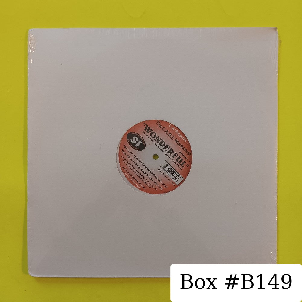 The C.A.N.I. Workshop - Wonderful 12" - 2000 - SI 1006 - New - Sealed - Vinyl