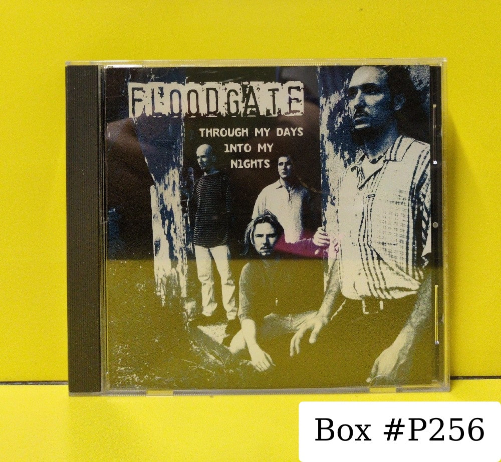 Floodgate - Through My Days Into My Nights - 1996 - RR PROMO 207 - Used - VG++ - CDs - CD Single - Promo