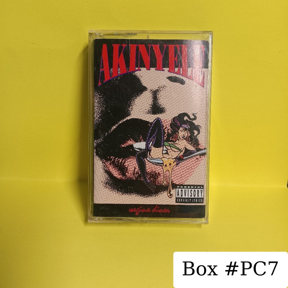 Akinyele - Vagina Diver - 1993 - 7 92236-4 - Used - EX - Cassettes