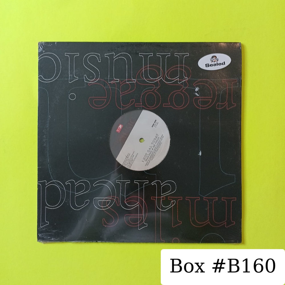 Sealed Paul & Mr. Vegas / Zebra - Hot Gal Today / Unfair 12" - 2000 - VPRD6331 - New - Sealed - Vinyl