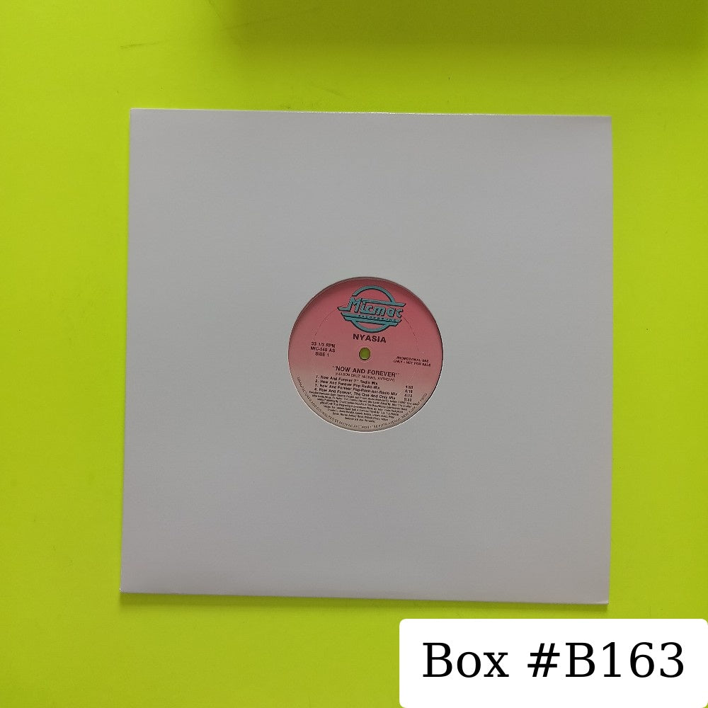 Nyasia - Now And Forever 12" PROMO - 1991 - MIC 549 - Used - EX - Vinyl