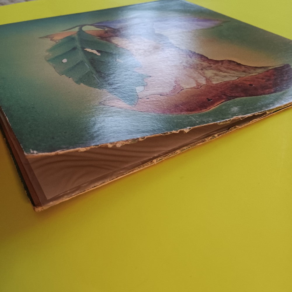Catapilla - Catapilla / Self Titled Promo - OG Vertigo 1971 - VEL 1006 - Used - VG++ - Vinyl