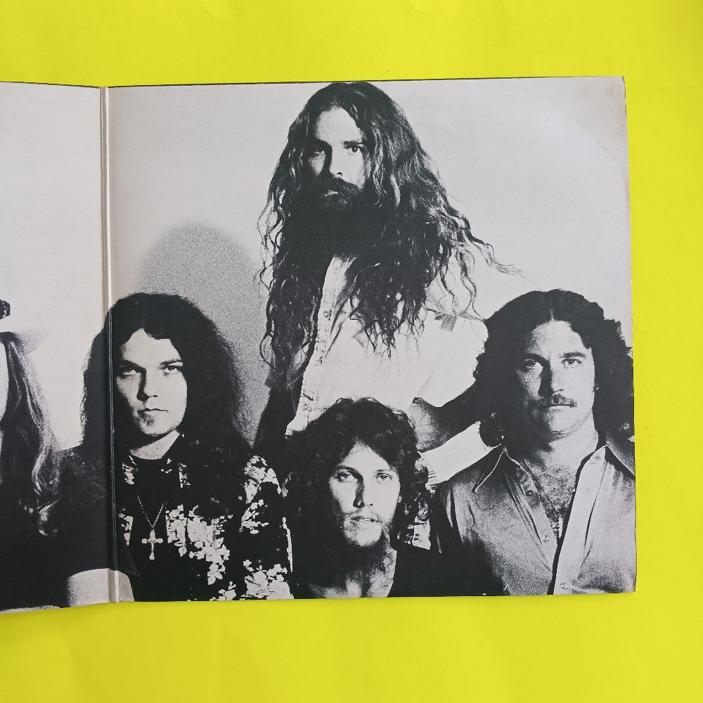 Lynyrd Skynyrd - Street Survivor UK Flame - 1977 - MCG 3525 - Used - EX - Vinyl