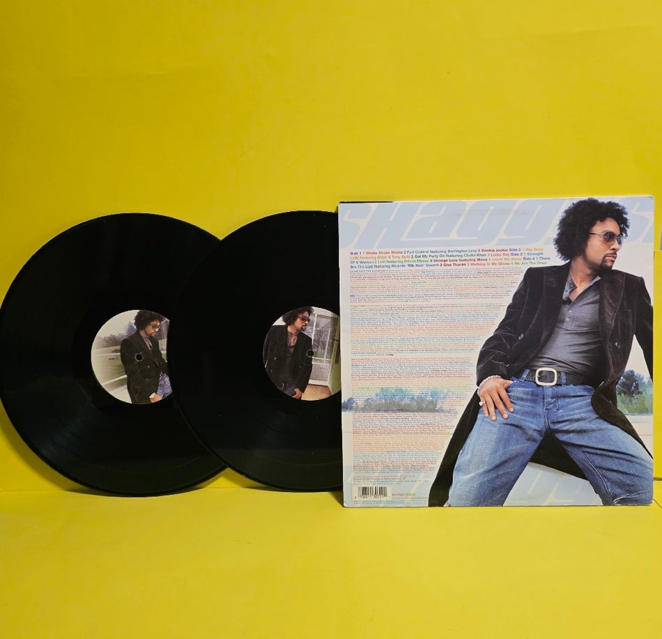 Shaggy - Lucky Day - 2002 - 088 113 070-1 - Used - NM - Vinyl