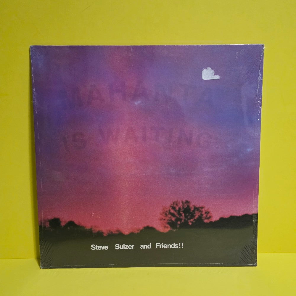 Steve Sulzer & Friends  - Mahanta Is Waiting  - 1983 - New - Sealed - Vinyl