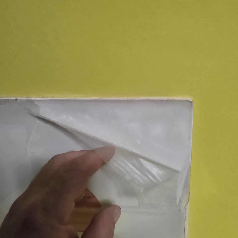 Cotton Candy Featuring Donna Trollinger - Havin' Fun - 1981 - TB-811 - New - Sealed - Vinyl