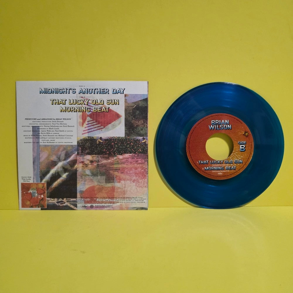 Brian Wilson - Midnight's Another Day  / Rare Promo  - 2008 - 509892 35994 75 - New - NM - Vinyl