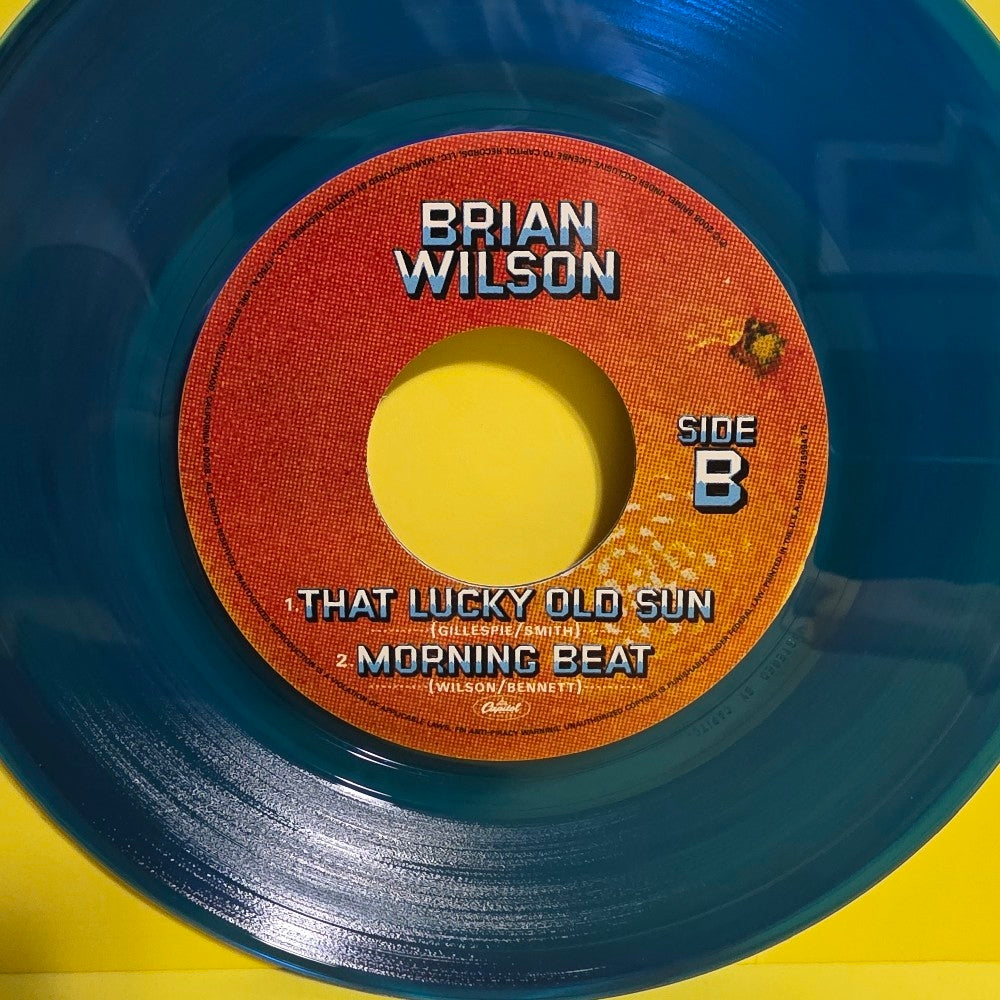 Brian Wilson - Midnight's Another Day  / Rare Promo  - 2008 - 509892 35994 75 - New - NM - Vinyl