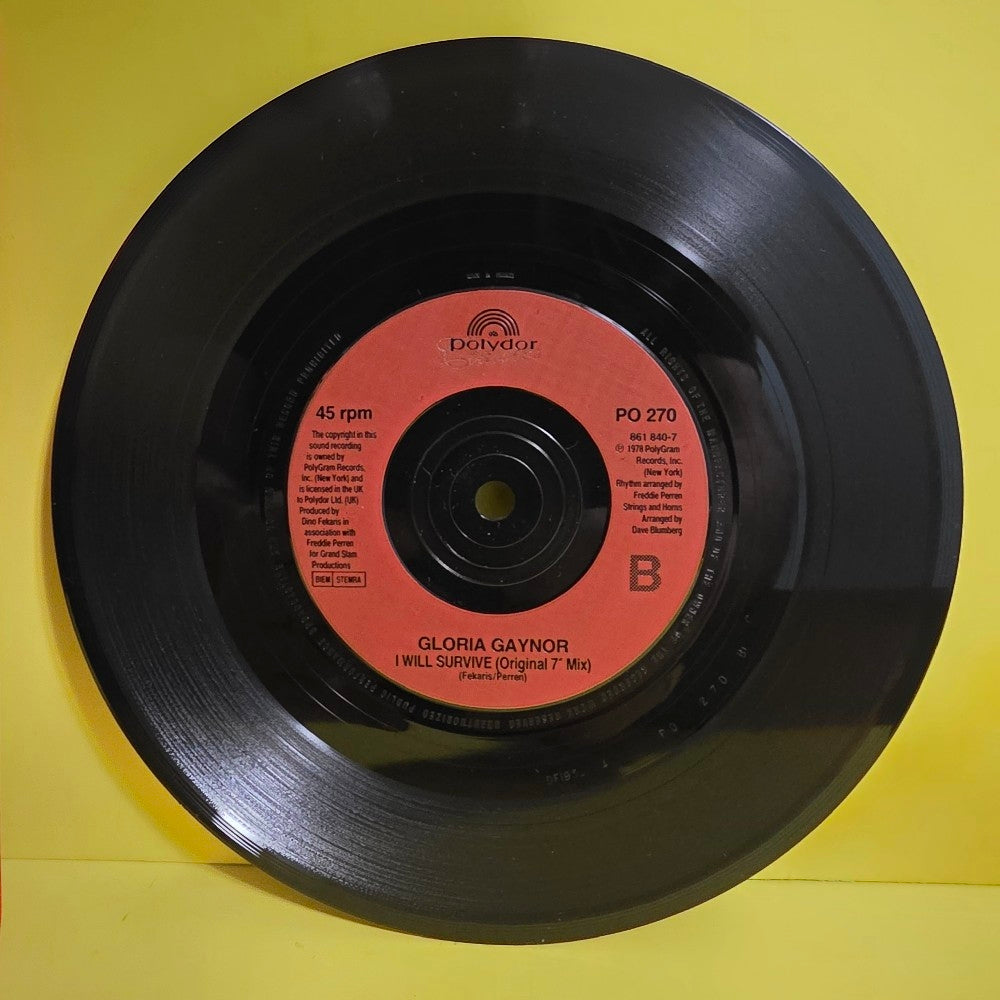 Gloria Gaynor - I Will Survive (Phil Kelsey Remix) - 1993 - PO 270 - Used - NM - Vinyl