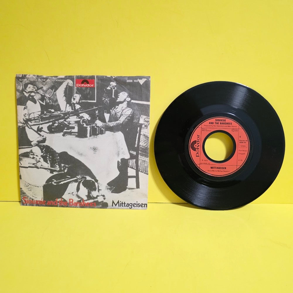 Rare Punk Vinyl Records | Best Record Store | Vinyl Bay 777