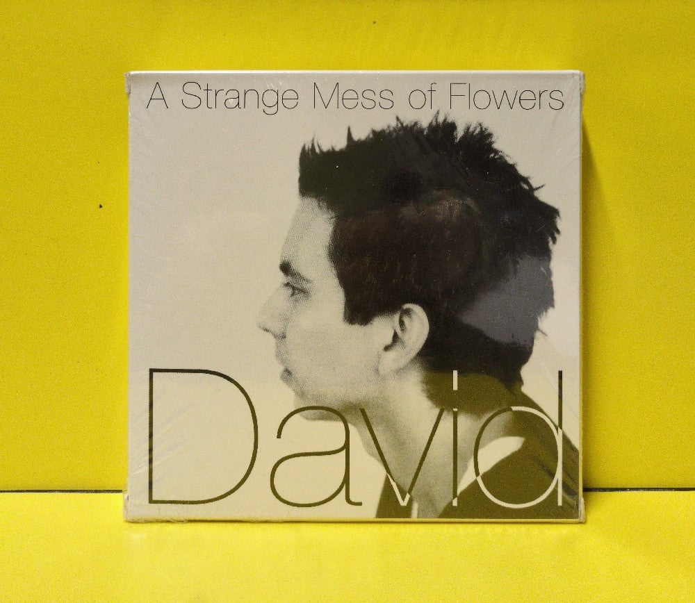 David Garza - A Strange Mess Of Flowers - 2004 - New - Sealed - CDs - 4xCD Box Set