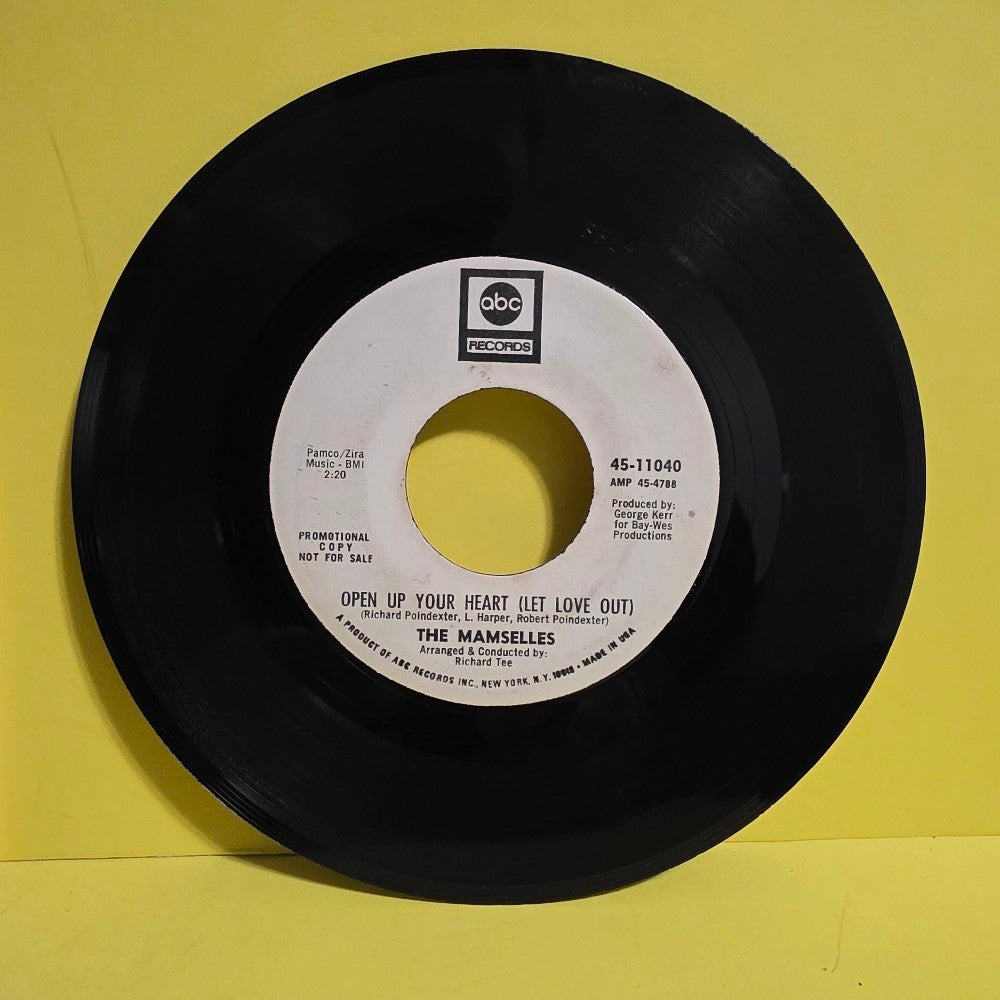 The Mamselles - It Won't Take Much To Bring Me Back 7" Promo  - 1968 - 45-11040 - Used - VG+ - Vinyl