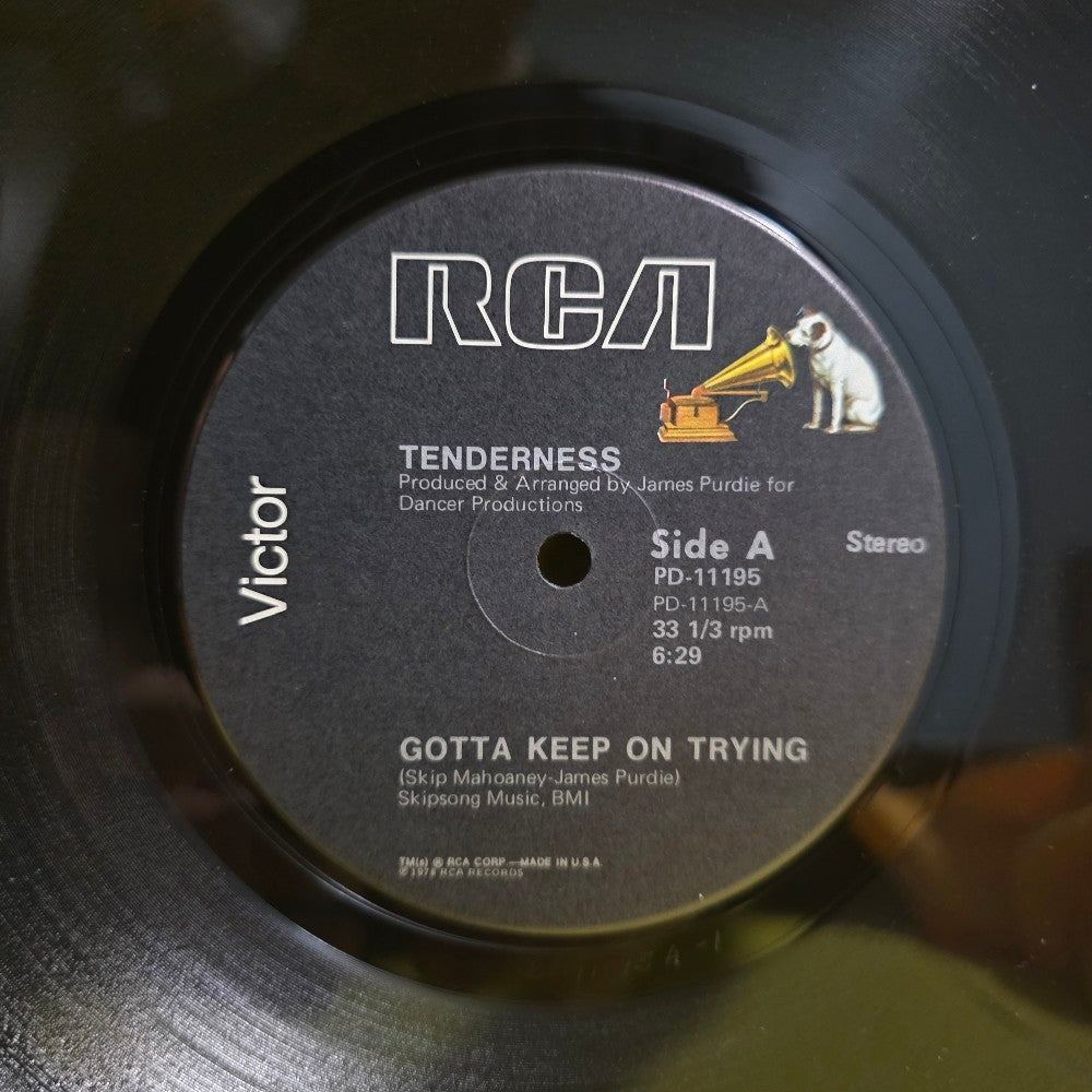 Tenderness - Gotta Keep On Trying  - 1978 - PD-11195 - Used - VG++ - Vinyl
