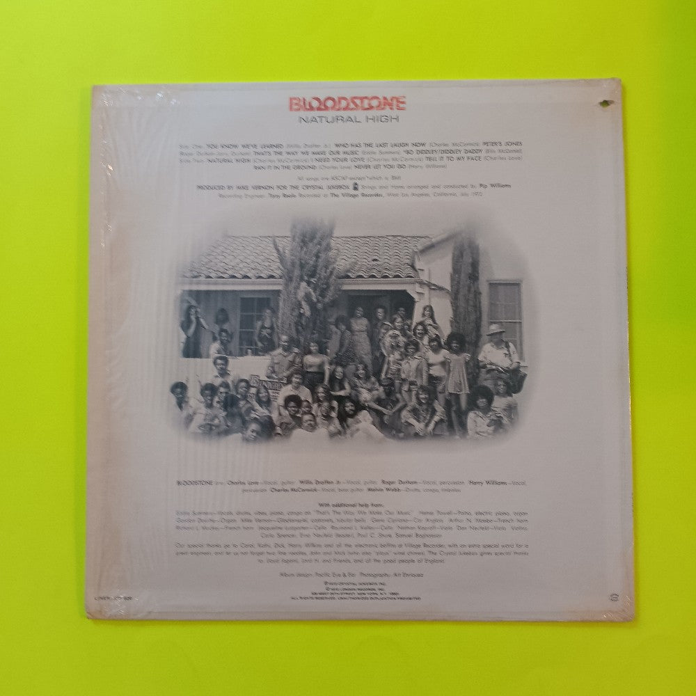 Bloodstone - Natural High PROMO Rare Label - 1973 - XPS 62 - Used - VG++ - Vinyl