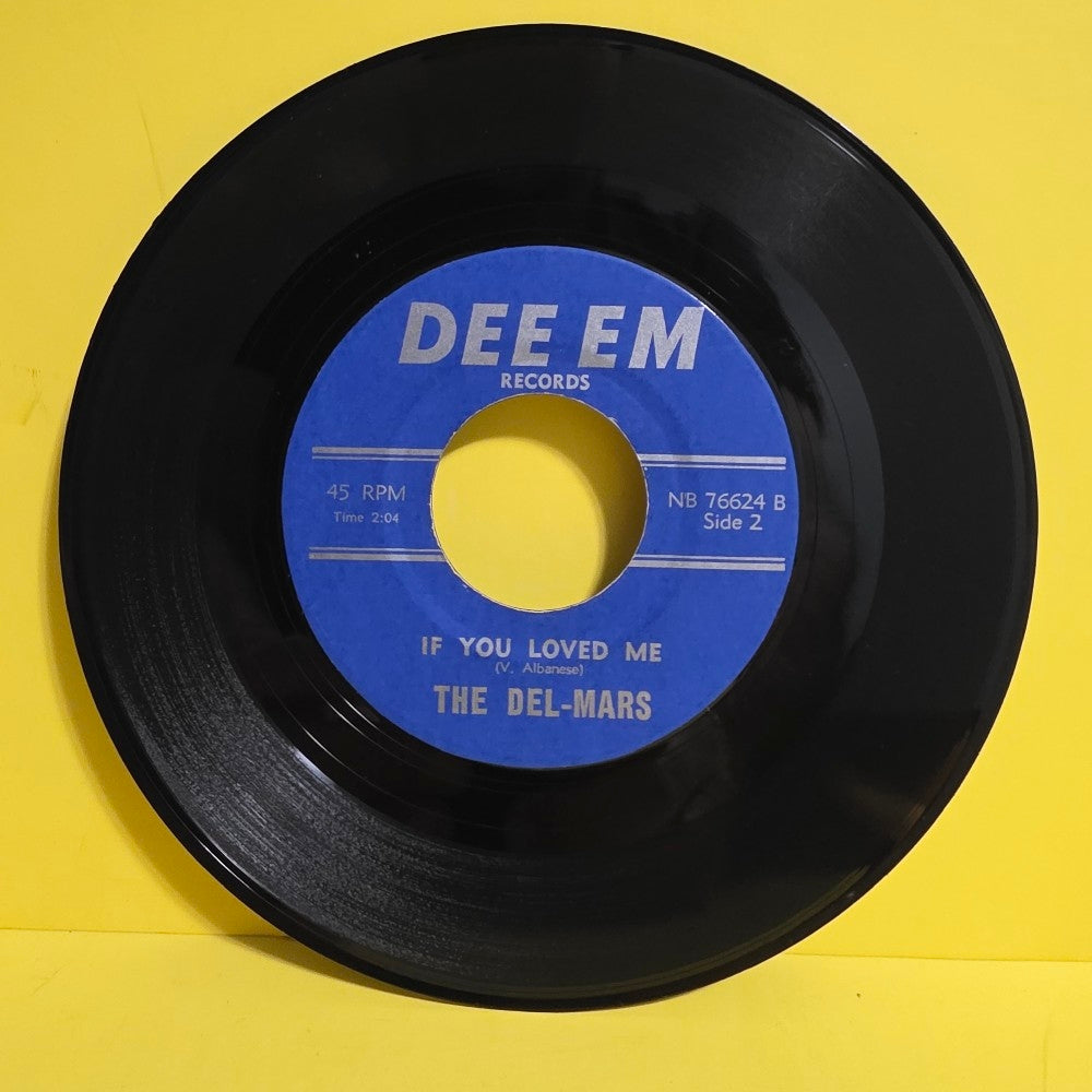 The Del-Mars - Joke That Isn't Funny / If You Love Me RARE 7" - NB 76624 - Used - VG++ - Vinyl
