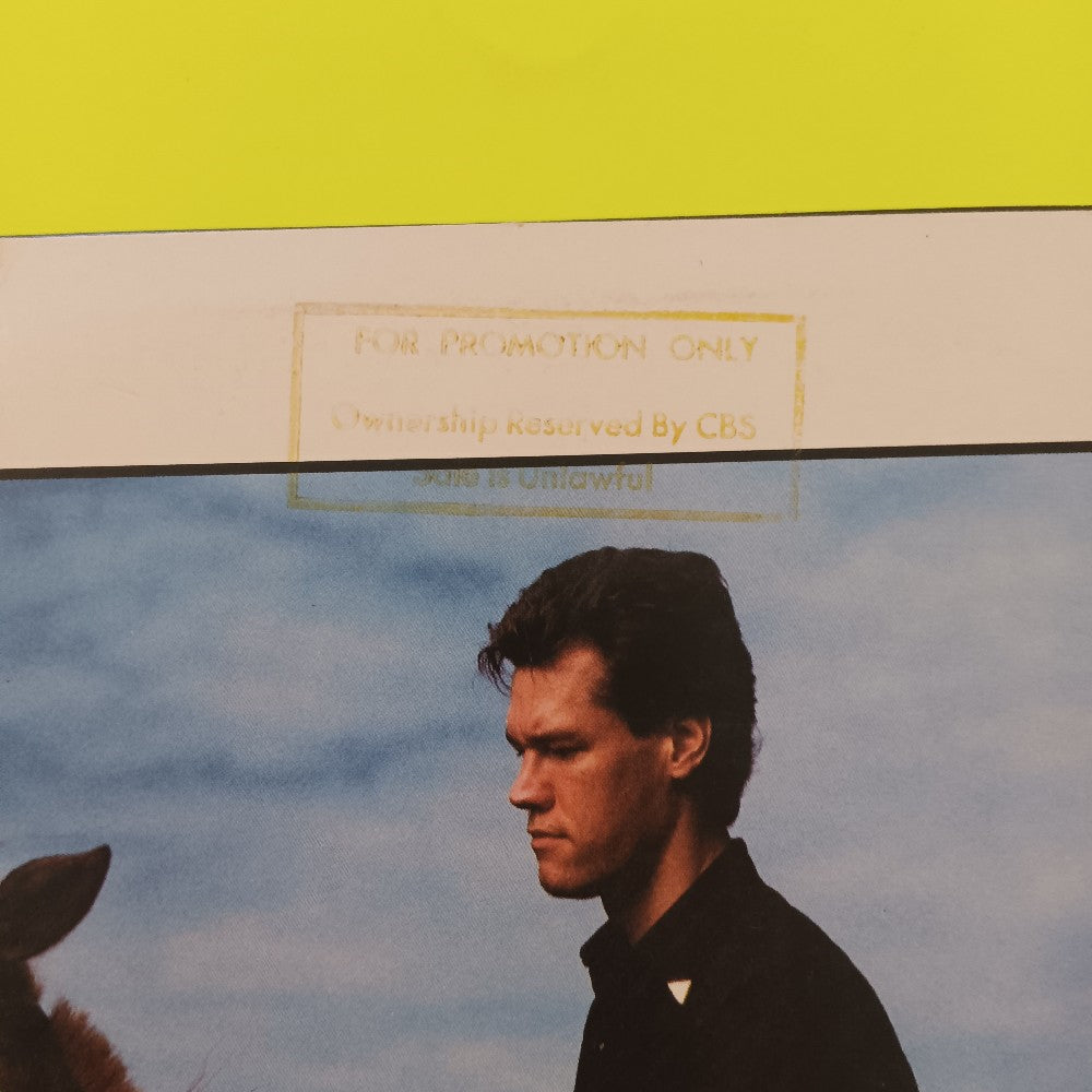 Randy Travis - No Holdin' Back PROMO CLUB EDITION - 1989 - W1 25988 - Used - EX - Vinyl