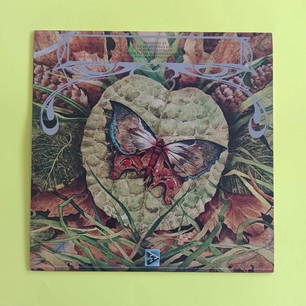 Spyro Gyra - Morning Dance PROMO - 1979 - INF 9004 - Used - VG++ - Vinyl