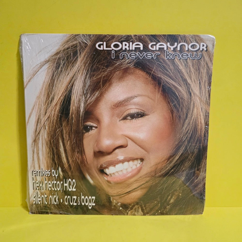 Gloria Gaynor - I Never Knew - 2002 - 74321-95068-1 - New - Sealed - Vinyl