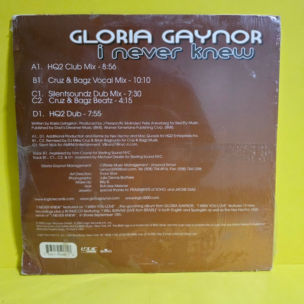 Gloria Gaynor - I Never Knew - 2002 - 74321-95068-1 - New - Sealed - Vinyl