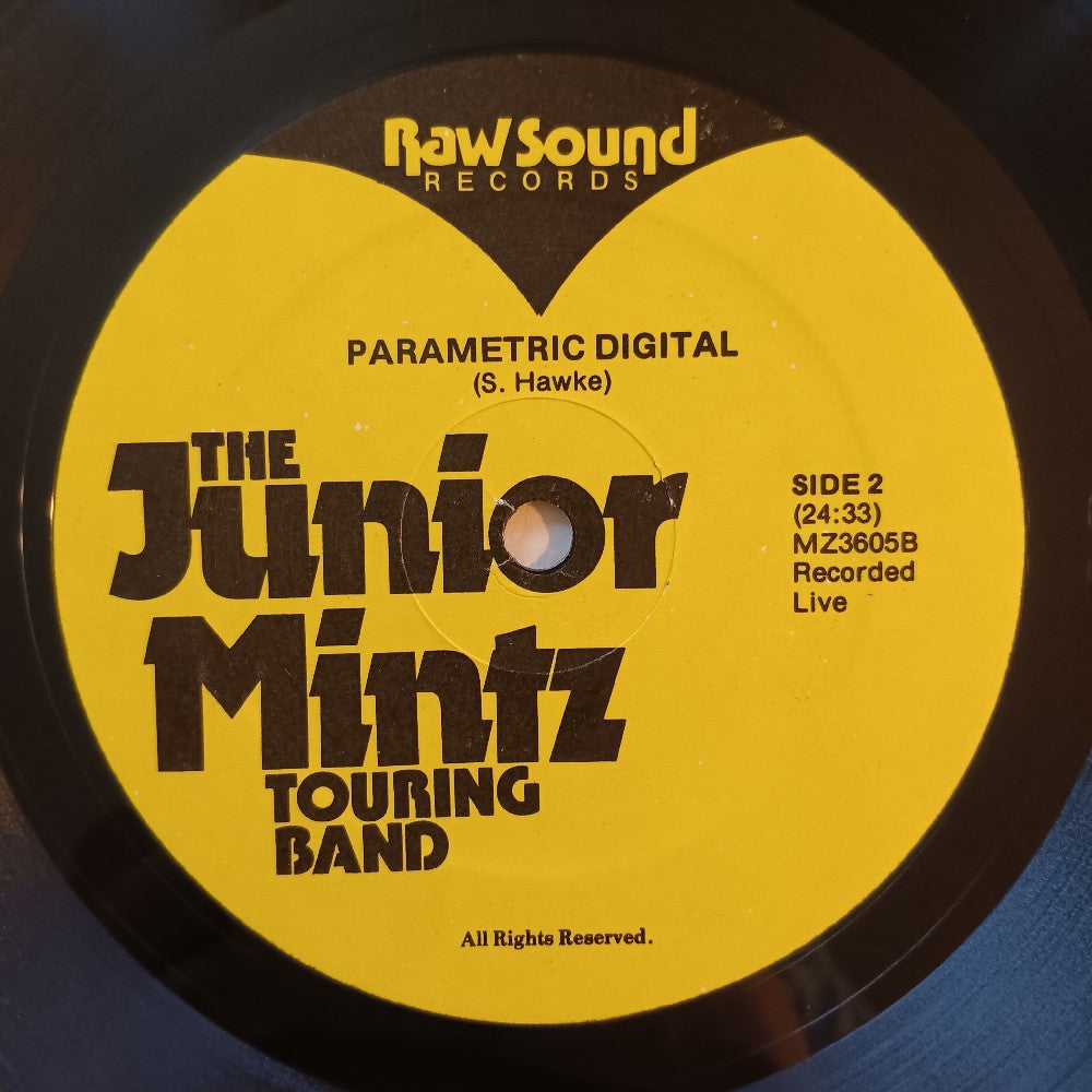 Frank Zappa - This Could Be... Joe's Garage Acts IV & V Live? - 1980 - MZ 3605 - Used - VG++ - Vinyl