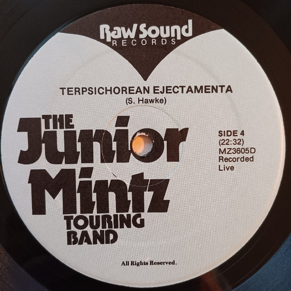 Frank Zappa - This Could Be... Joe's Garage Acts IV & V Live? - 1980 - MZ 3605 - Used - VG++ - Vinyl