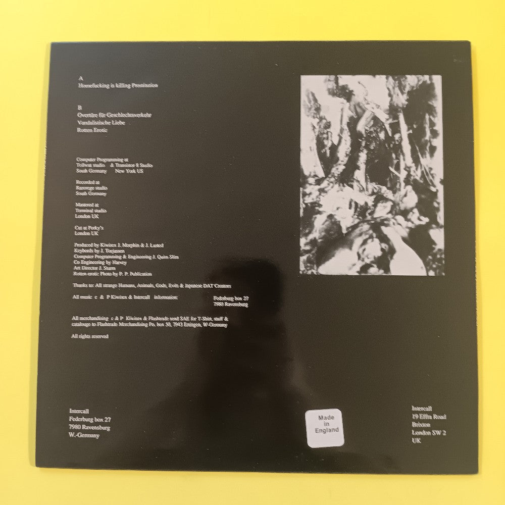 Kiwisex - Homefucking Is Killing Prostitution UK - 000-10 - Used - VG++ - Vinyl