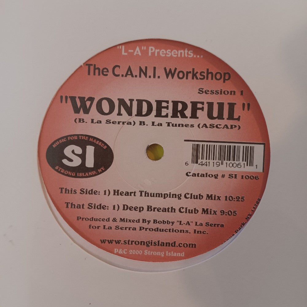 The C.A.N.I. Workshop - Wonderful 12" - 2000 - SI 1006 - New - Sealed - Vinyl