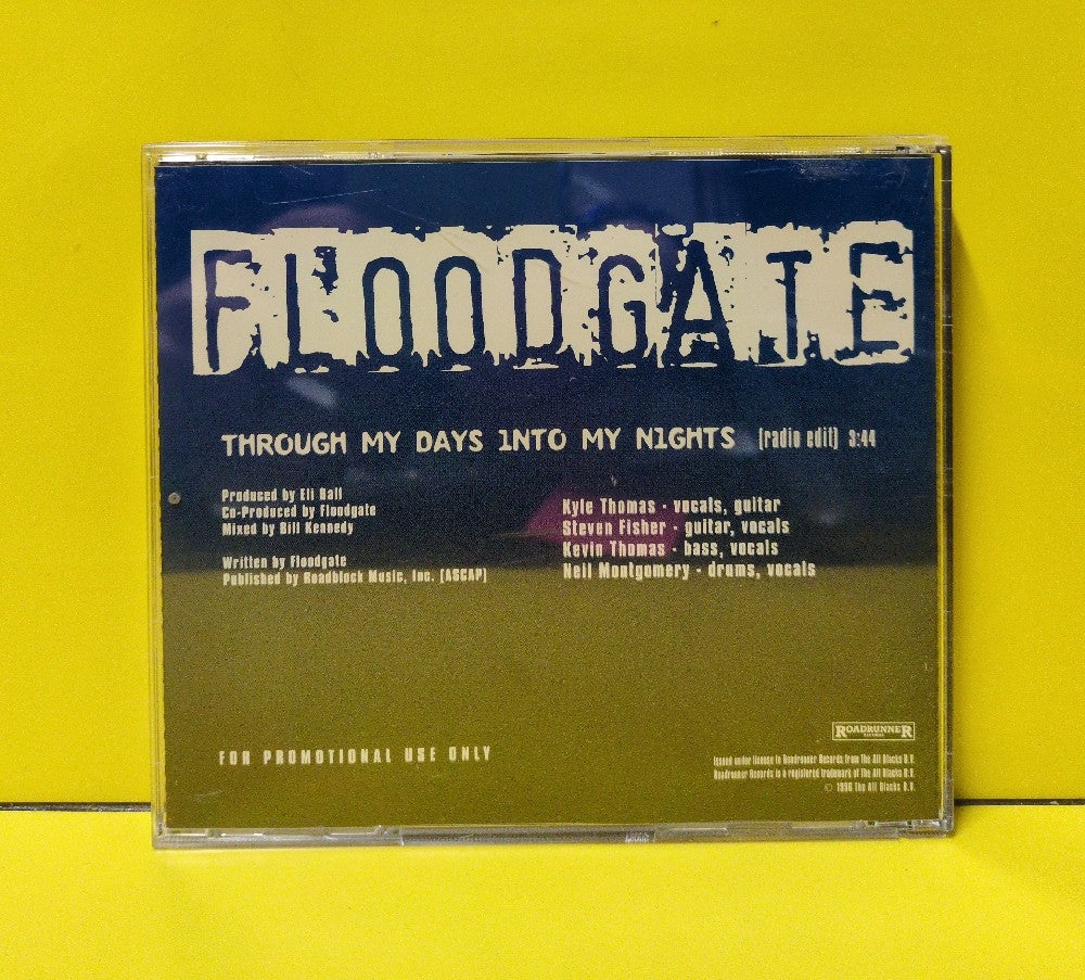 Floodgate - Through My Days Into My Nights - 1996 - RR PROMO 207 - Used - VG++ - CDs - CD Single - Promo