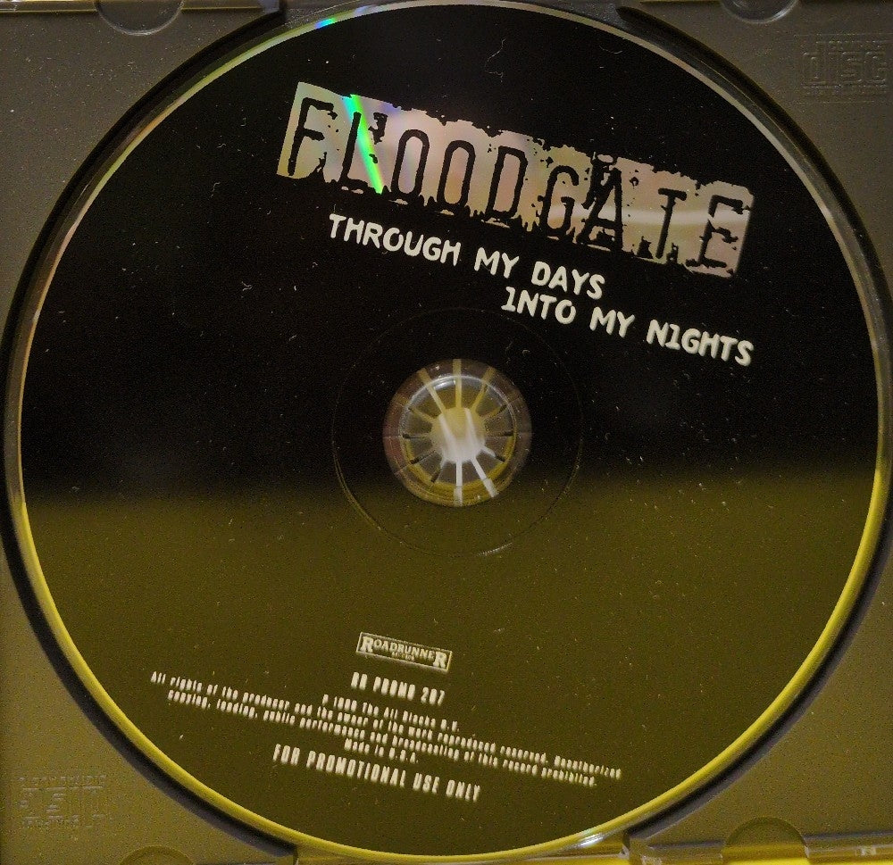 Floodgate - Through My Days Into My Nights - 1996 - RR PROMO 207 - Used - VG++ - CDs - CD Single - Promo