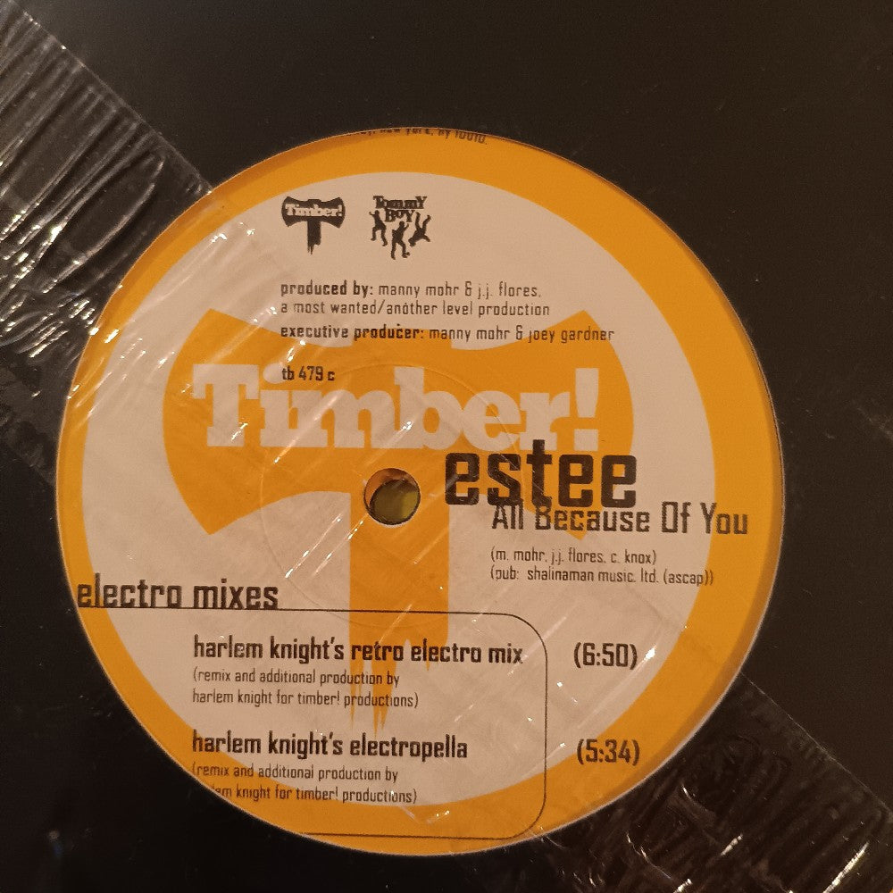 Estee - All Because Of You 2x 12" - 1998 - TB 479 - New - Sealed - Vinyl