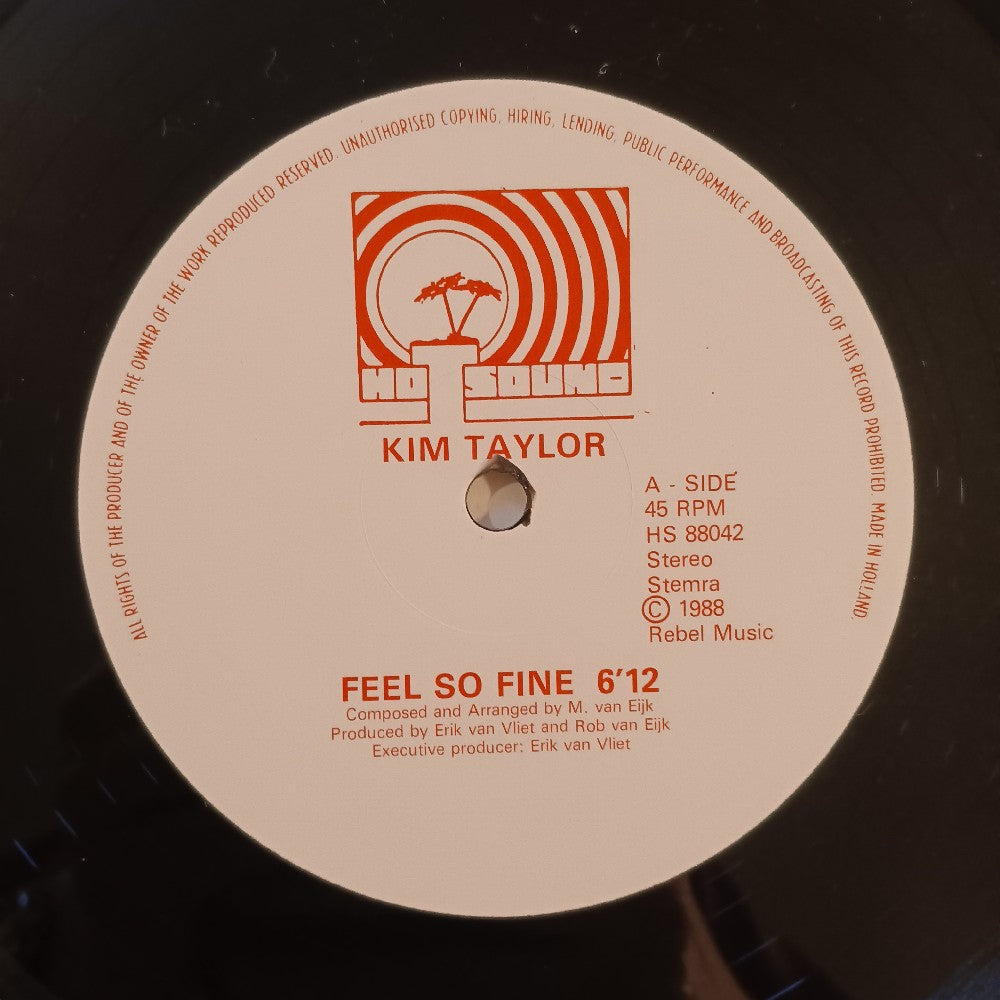 Kim Taylor - Feel So Fine 12" Netherlands - 1988 - HS 88042 - Used - EX - Vinyl