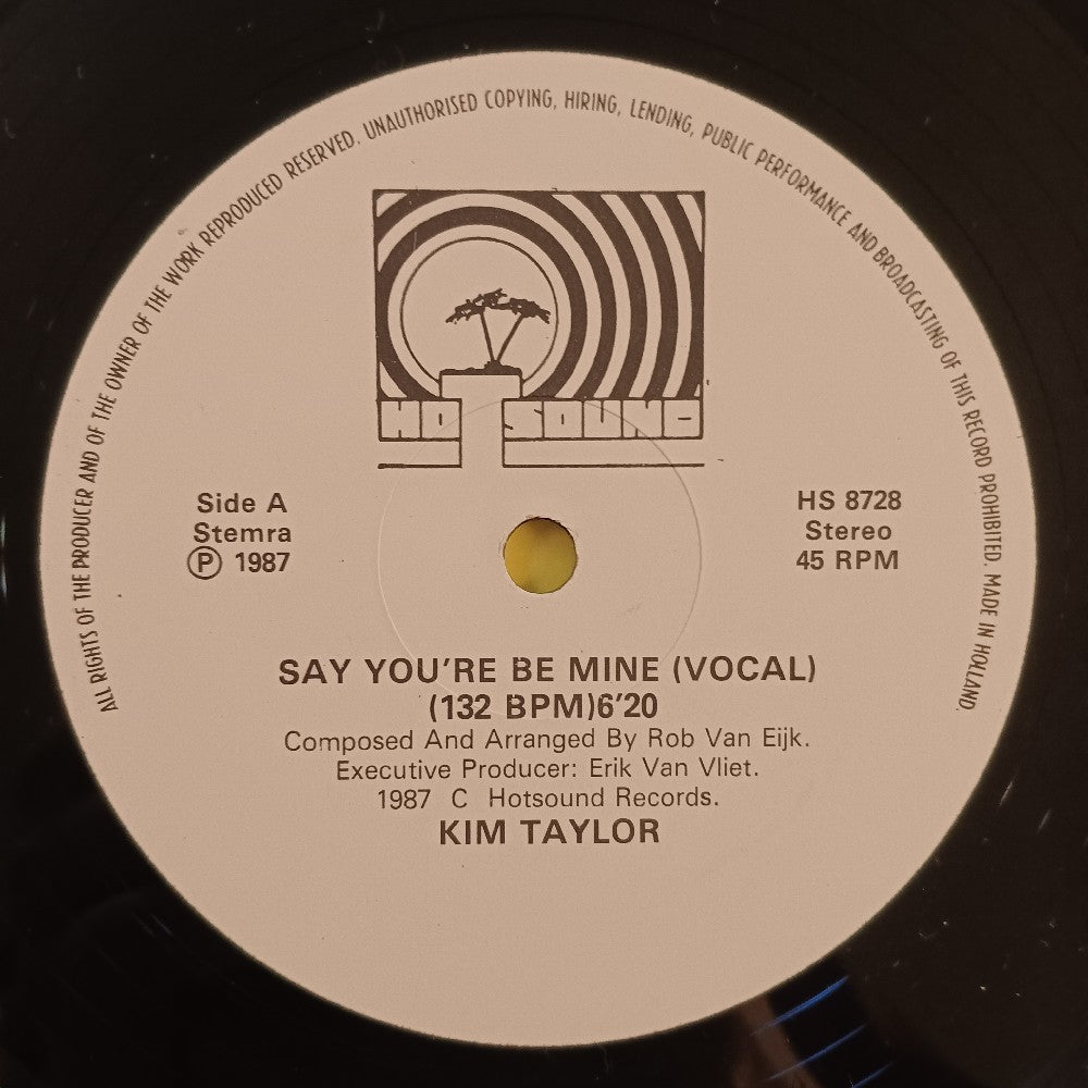 Kim Taylor - Say You'll Be Mine 12" HOLLAND MISPRINT - 1987 - HS 8728 - Used - EX - Vinyl