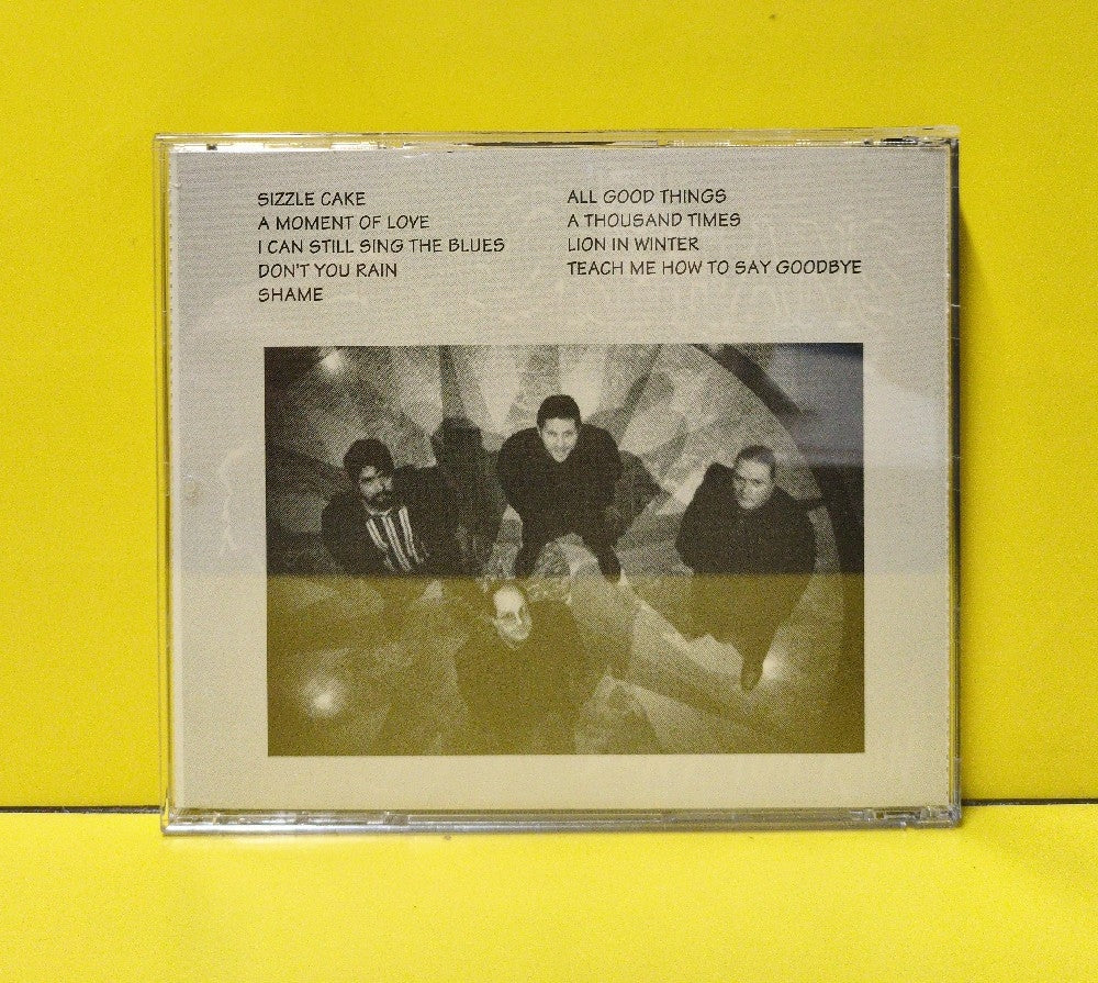 The Orphans - Don't You Rain - 1995 - Used - VG++ - CDs - Canadian Import