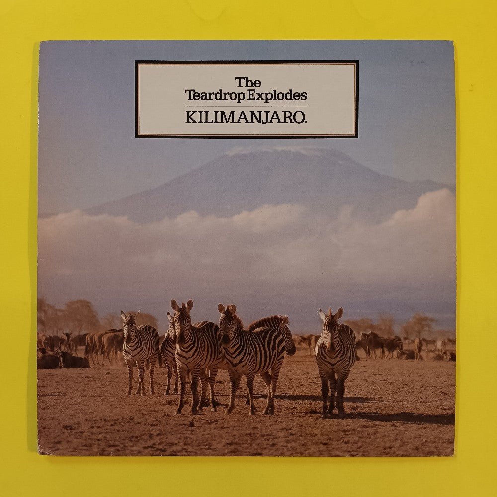 The Teardrop Explodes - Kilimanjaro UK - 1981 - 6359 035 - Used - VG++ - Vinyl