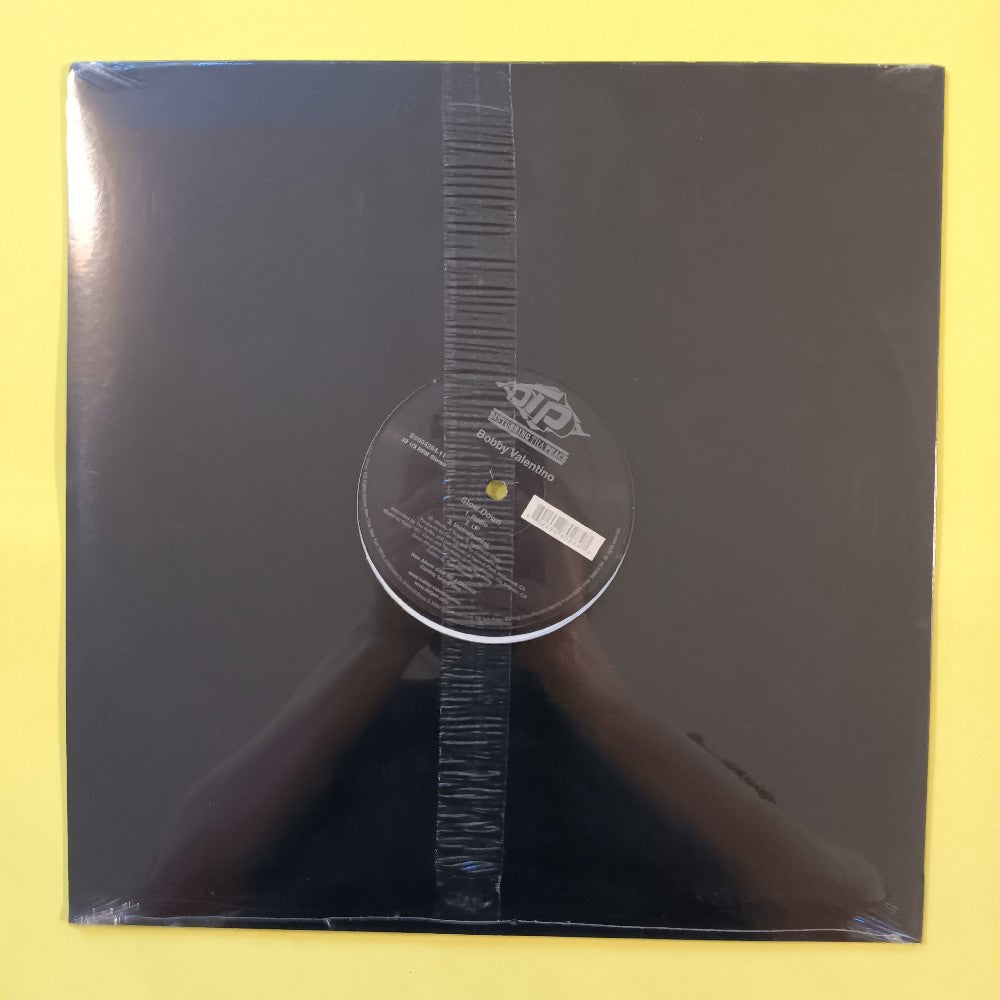 Bobby Valentino - Slow Down 12" - 2005 - B0004294-11 - New - Sealed - Vinyl
