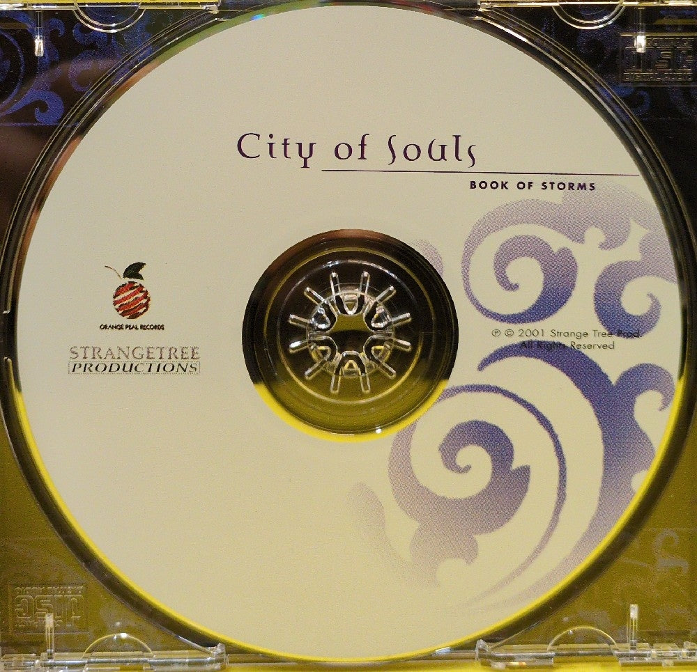 Book Of Storms - City Of Souls - 2001 - ST-0003 - Used - VG++ - CDs