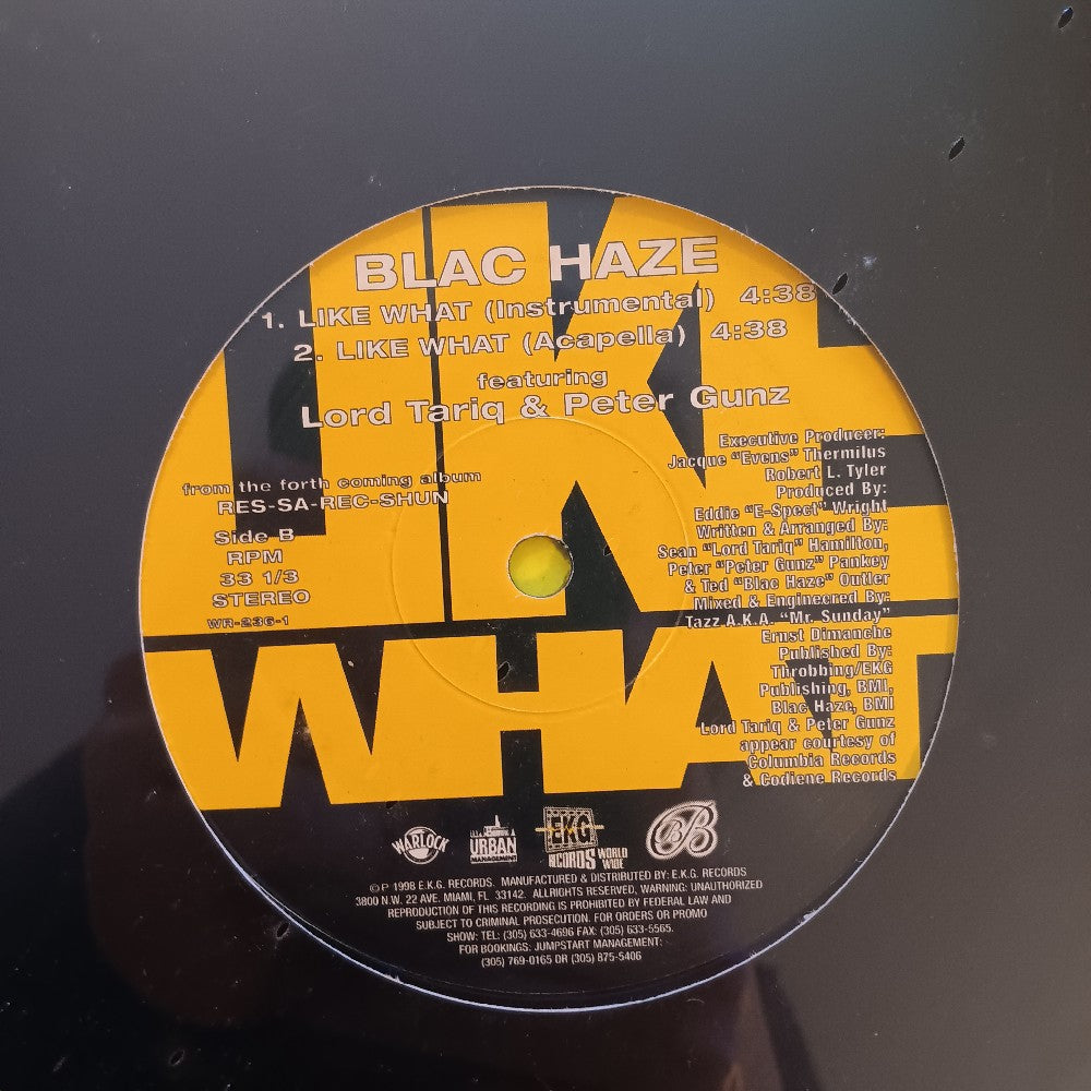 Blac Haze - Like What 12" - 1998 - WR-236-1 - New - Sealed - Vinyl