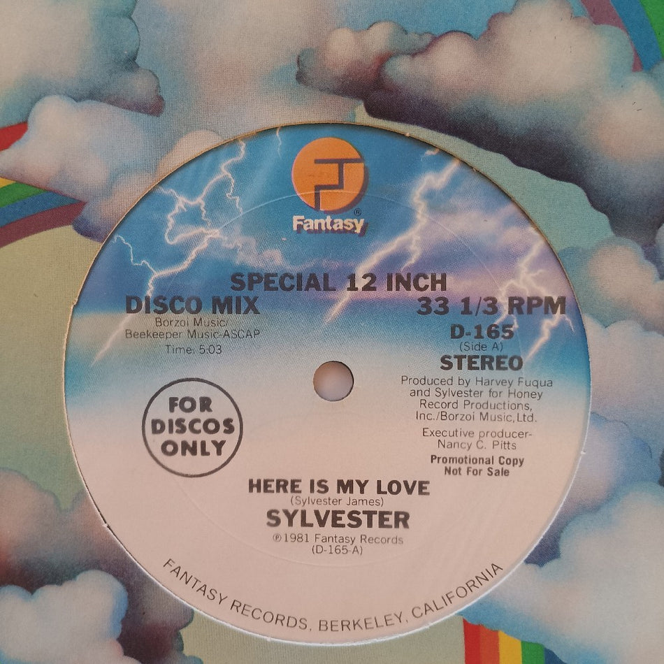 Sylvester - Here Is My Love 12" Promo - 1981 - D-165 - Used - VG++ - Vinyl