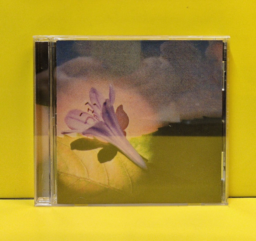 Suzzy & Maggie Roche - Zero Church - 2001 - RHR CD 157 - Used - EX - CDs - Cardboard Slip Cover
