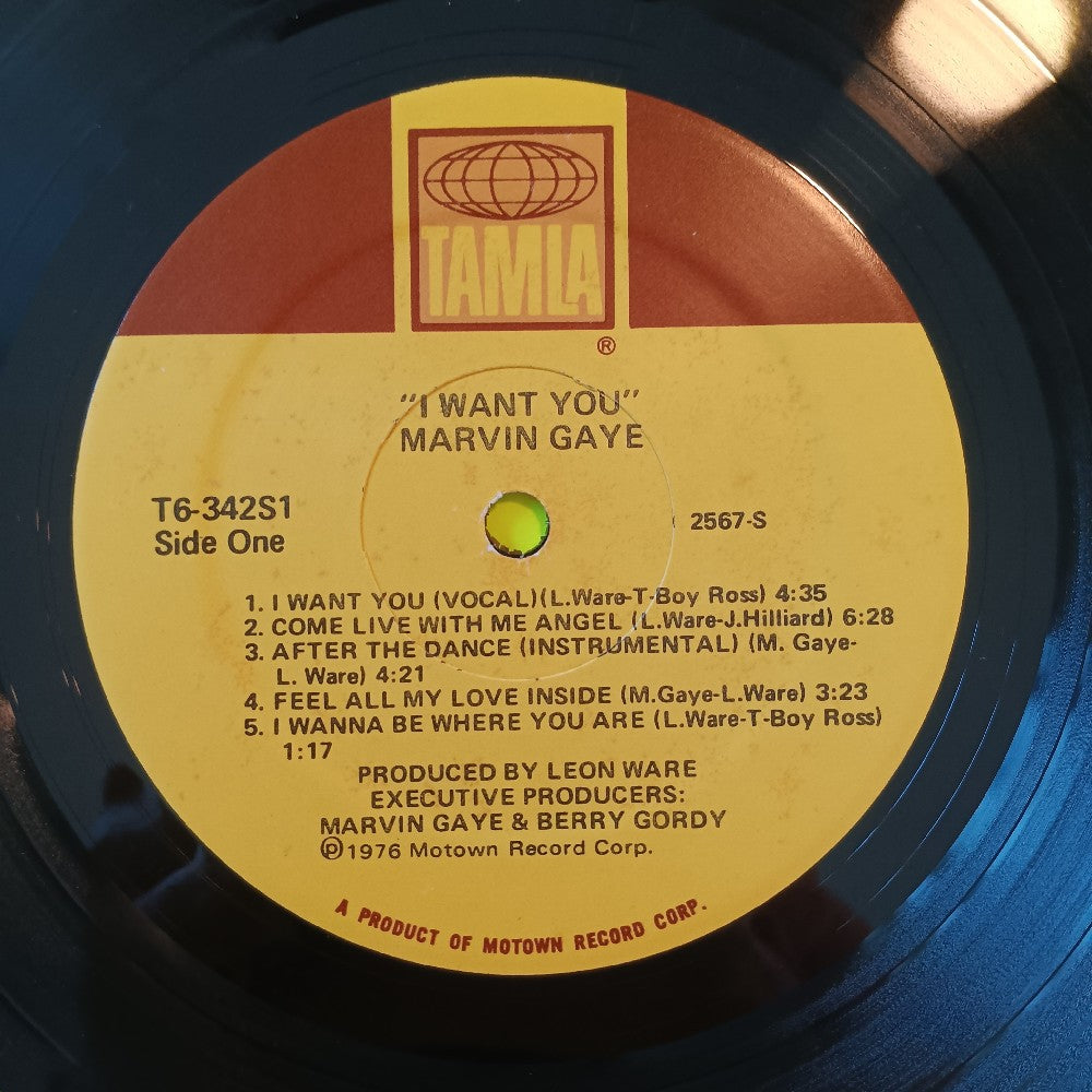 Marvin Gaye - I Want You - 1976 - T6-342S1 - Used - VG++ - Vinyl