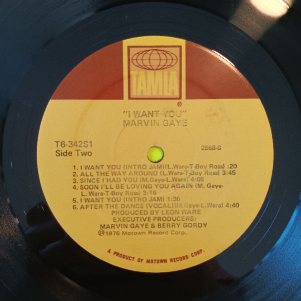 Marvin Gaye - I Want You - 1976 - T6-342S1 - Used - VG++ - Vinyl