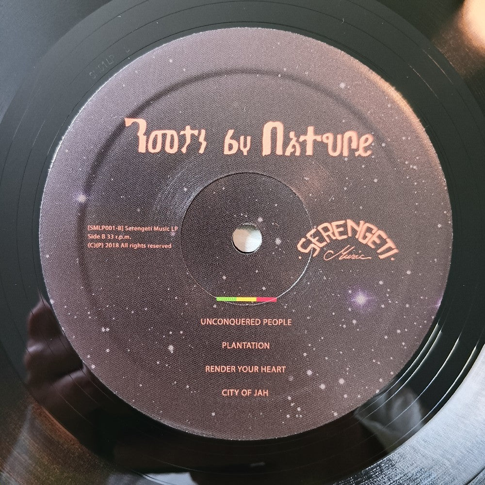 Roots By Nature - Untold Story (Kunta Kinte) ITALY - 2019 - SMLP01 - Used - EX - Vinyl
