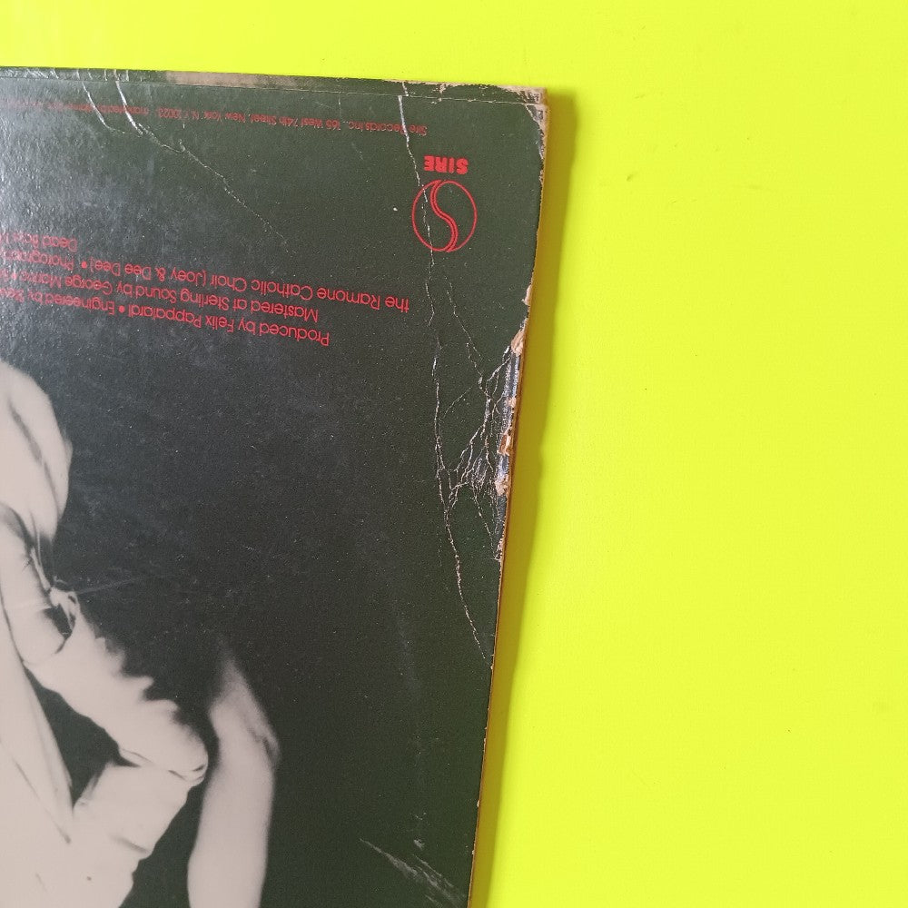 Dead Boys - We Have Come For Your Children OG - 1978 - SRK 6054 - Used - VG+ - Vinyl