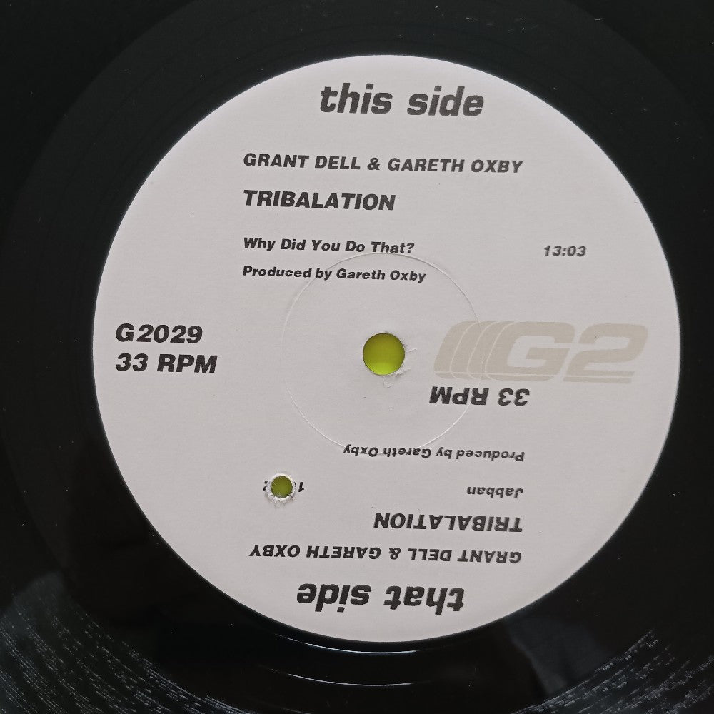 Tribalation - Why Did You Do That? 12"  - 2001 - G2029 - Used - VG++ - Vinyl