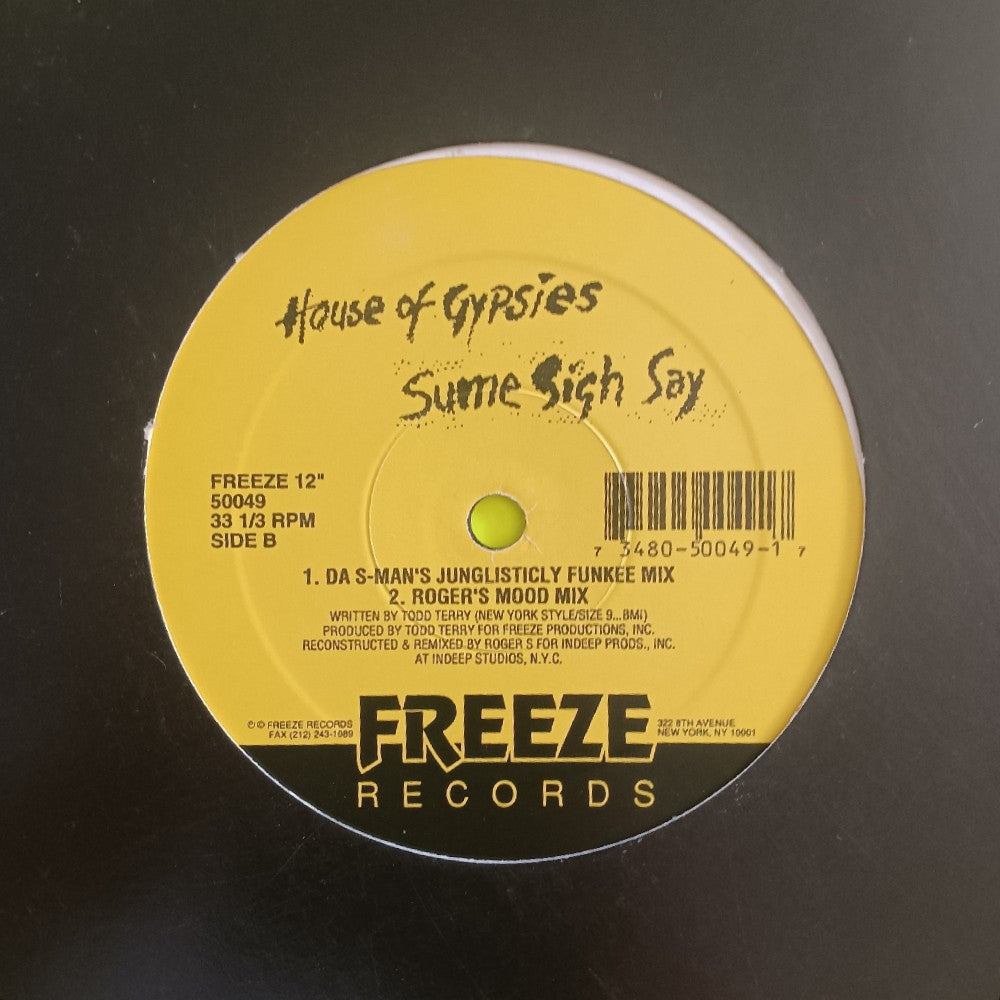 House Of Gypsies - Sume Sigh Say 12"  - 1993 - 50049 - Used - VG+ - Vinyl