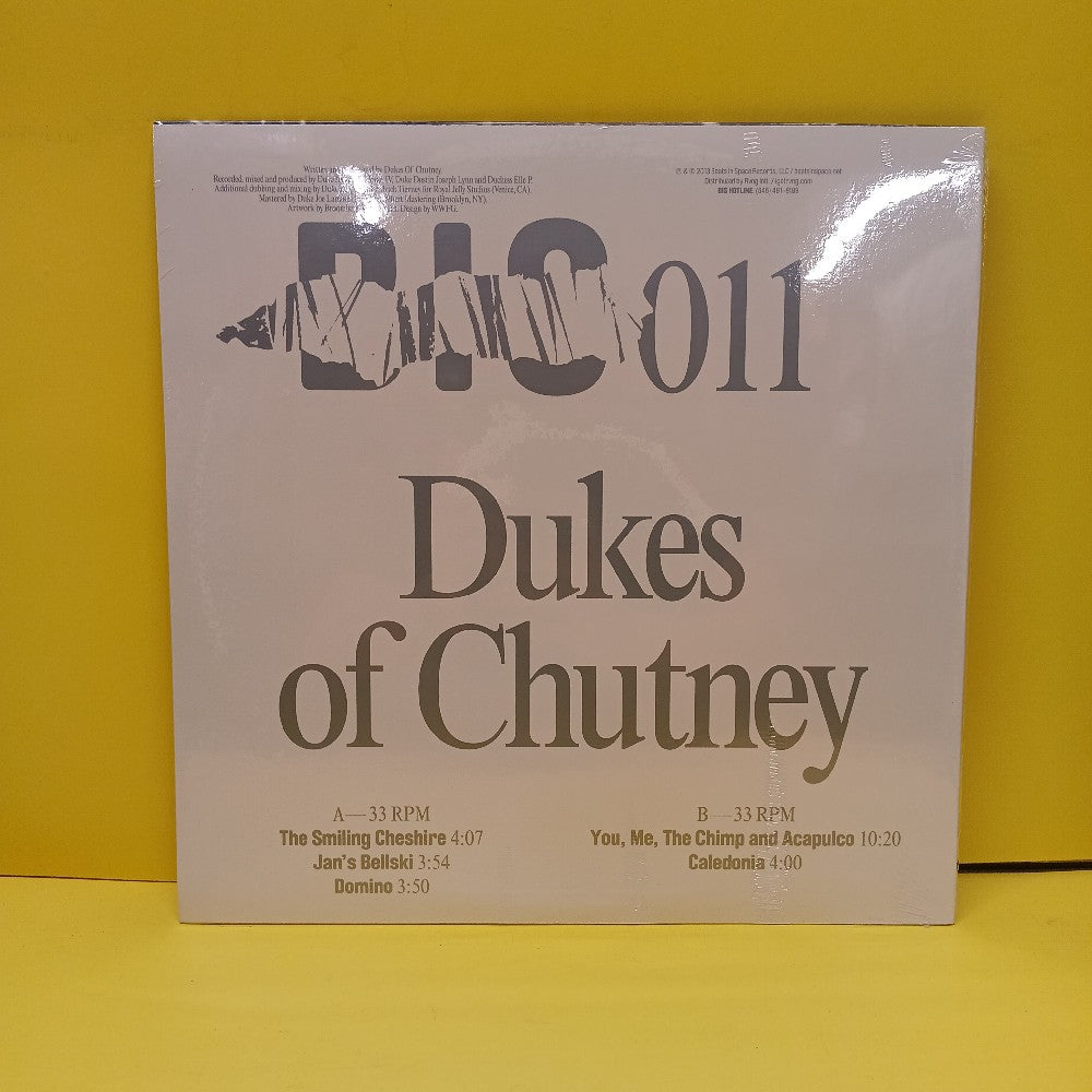 Dukes Of Chutney - Domino - 2013 - BIS011 - New - Sealed - Vinyl