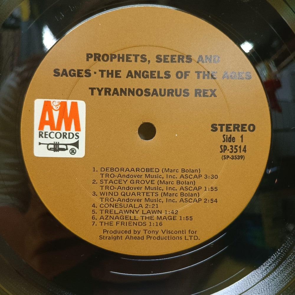 Tyrannosaurus Rex T-Rex - A Beginning  - 1972 - SP 3514 - Used - EX - Vinyl