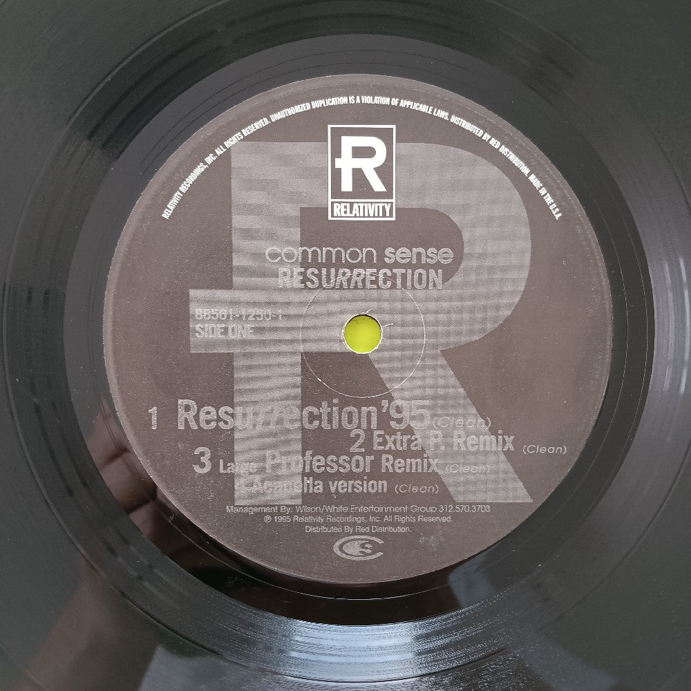 Common - Resurrection 12" - 1995 - 88561-1250-1 - Used - VG++ - Vinyl